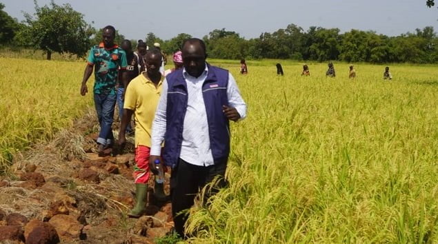 Karangassovigué Le PAPFA visite le basfond rizicole de Kouri