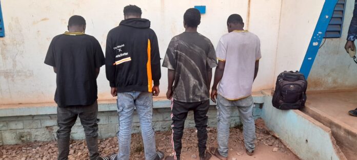 WhatsApp Image 2024-12-18 à 16.03.14_405afa6c