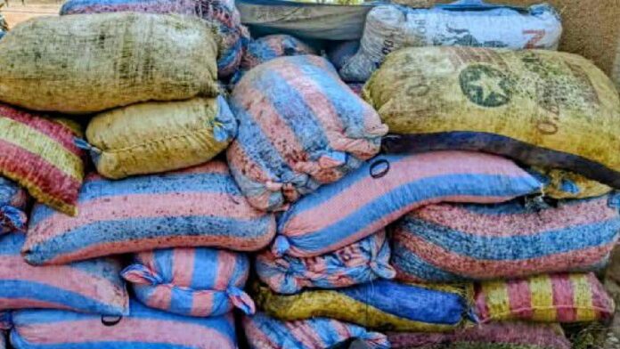 477584081_1058687726296187_2147980105624117430_n