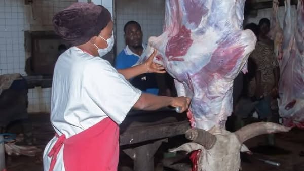 500747777_1141596604671965_3899152845290026922_n