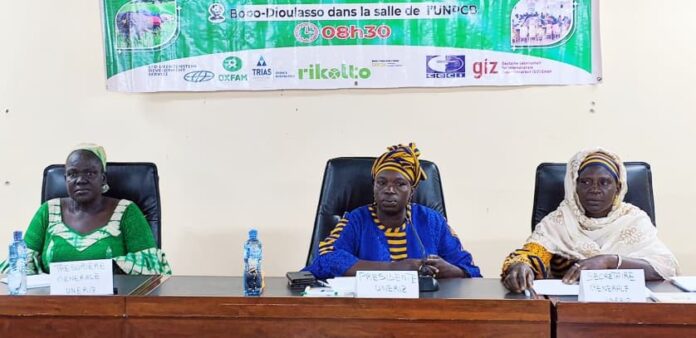 Burkina-UNERIZ